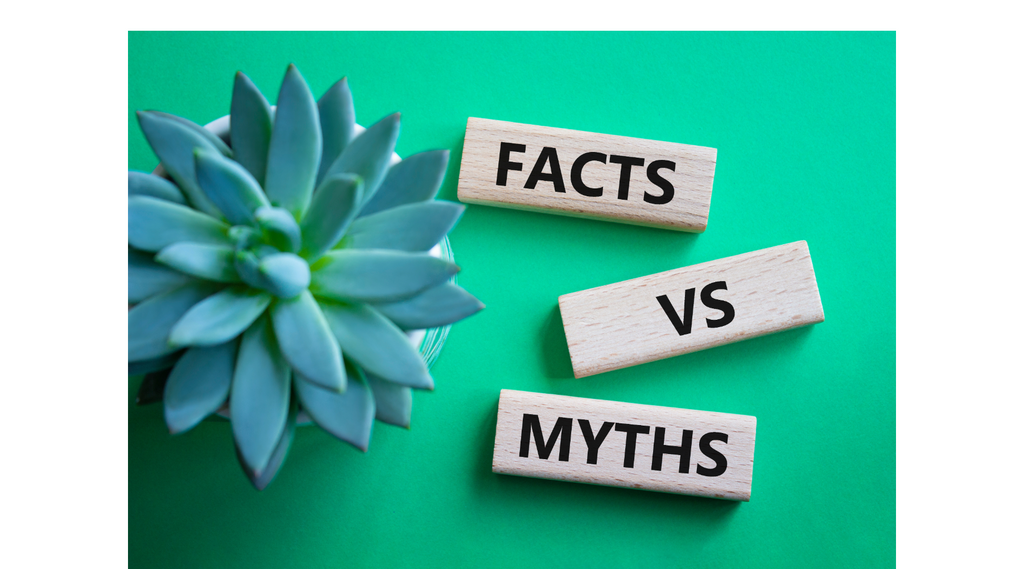 Mushroom Vapes and Gummies: Myths vs. Facts