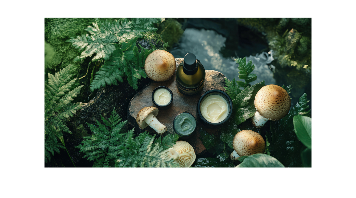 The Growing Popularity of Mushroom-Based Products in the Wellness World