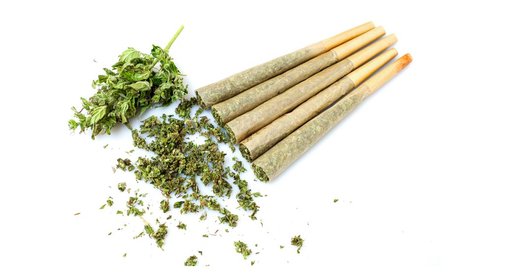 Rolling Like a Pro: The Art of Crafting the Perfect Pre-Roll