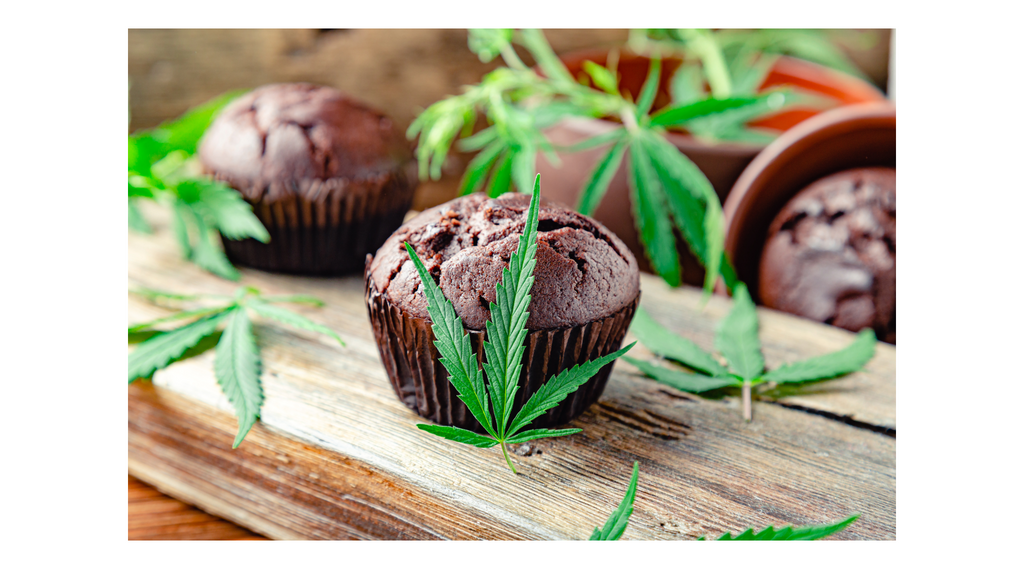 Munchies Masterclass: The Science Behind Why THC Makes You Hungry