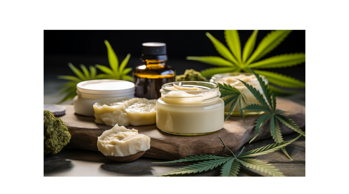 How CBD Can Support Your Daily Wellness Routine
