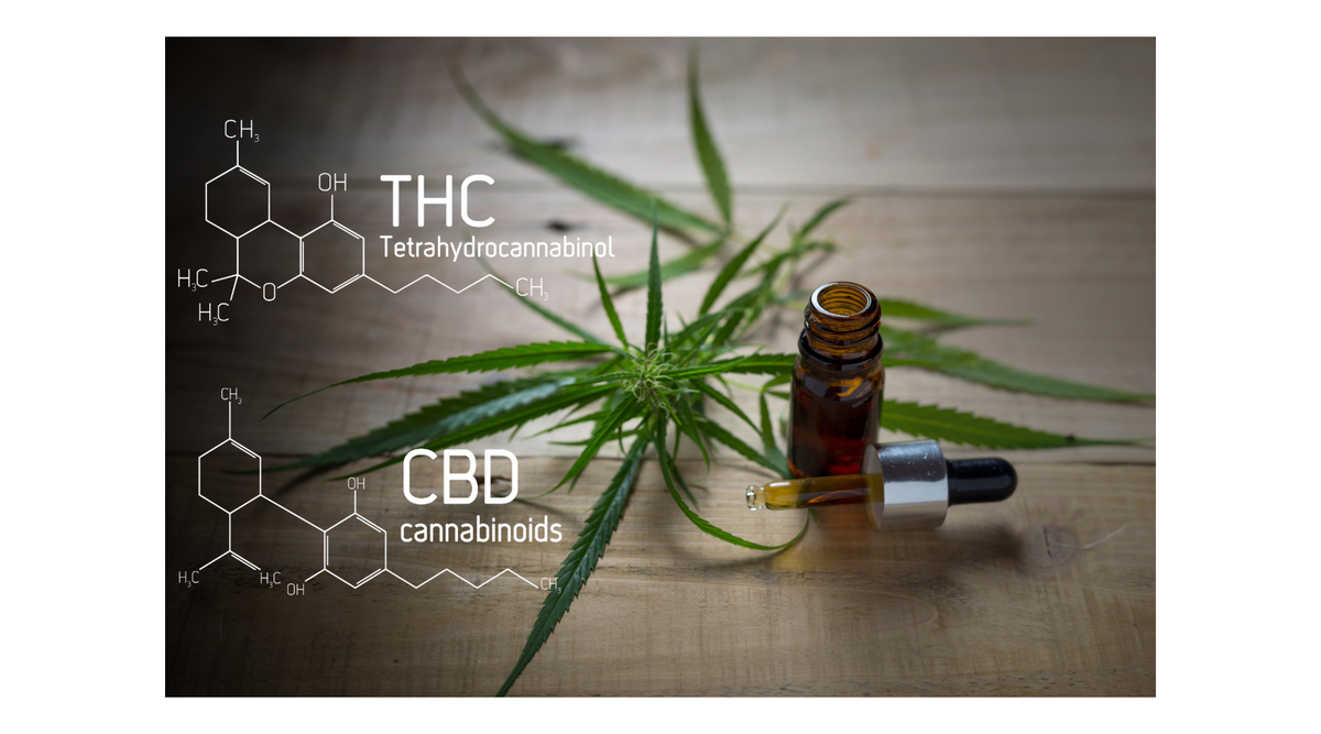 CBD vs. THC: The Ultimate Face-Off – Which One Wins for You?