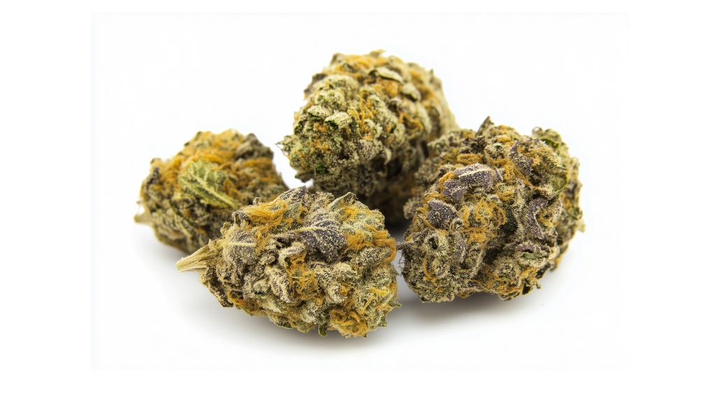 Sativa vs. Indica vs. Hybrid: Understanding the Differences and Effects