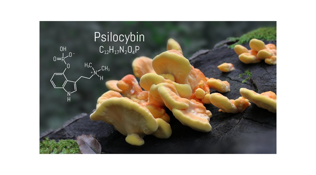 Mushroom Gummies vs. Mushroom Vapes: Understanding the Strength Differences