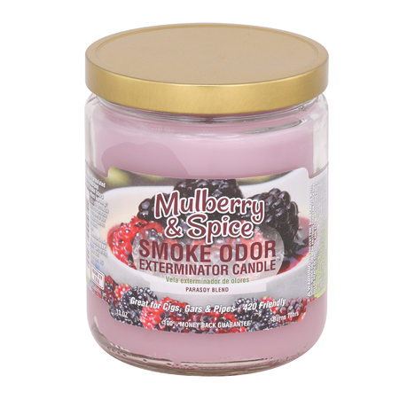 Smoke Odor Exterminator Mulberry and Spice Candle 13 OZ